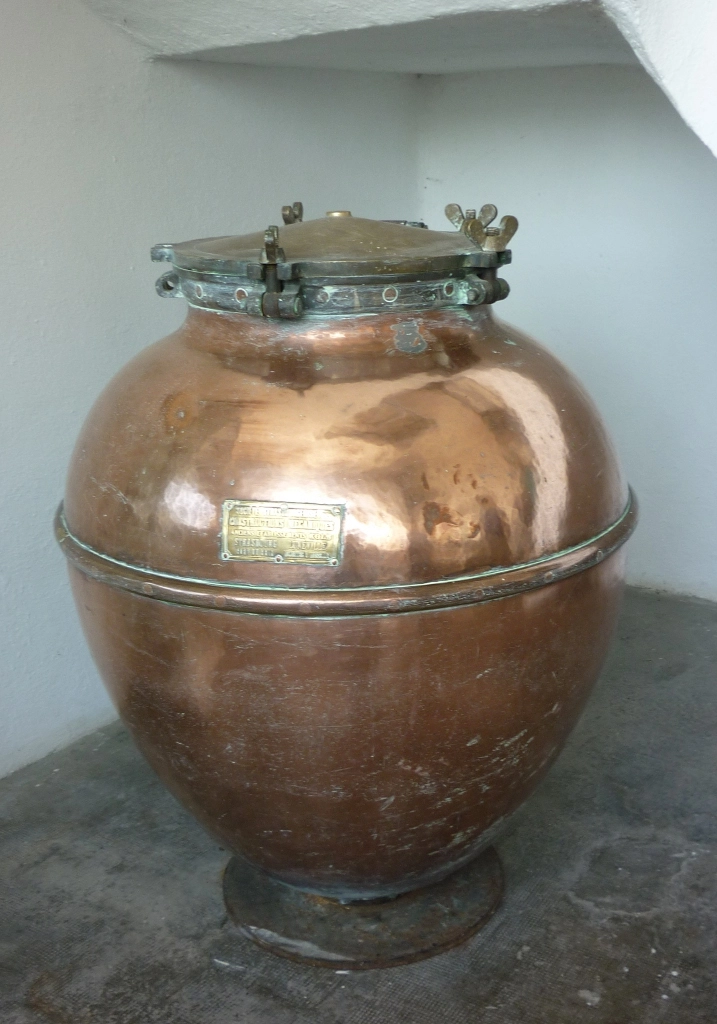 Фрментационное яйцо